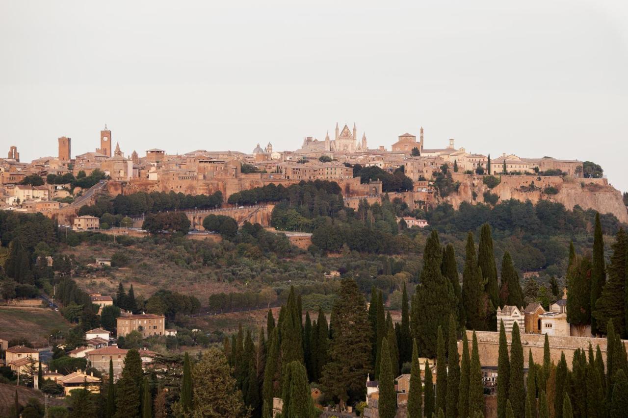 Domus Festina Lente Lejlighed Orvieto Eksteriør billede